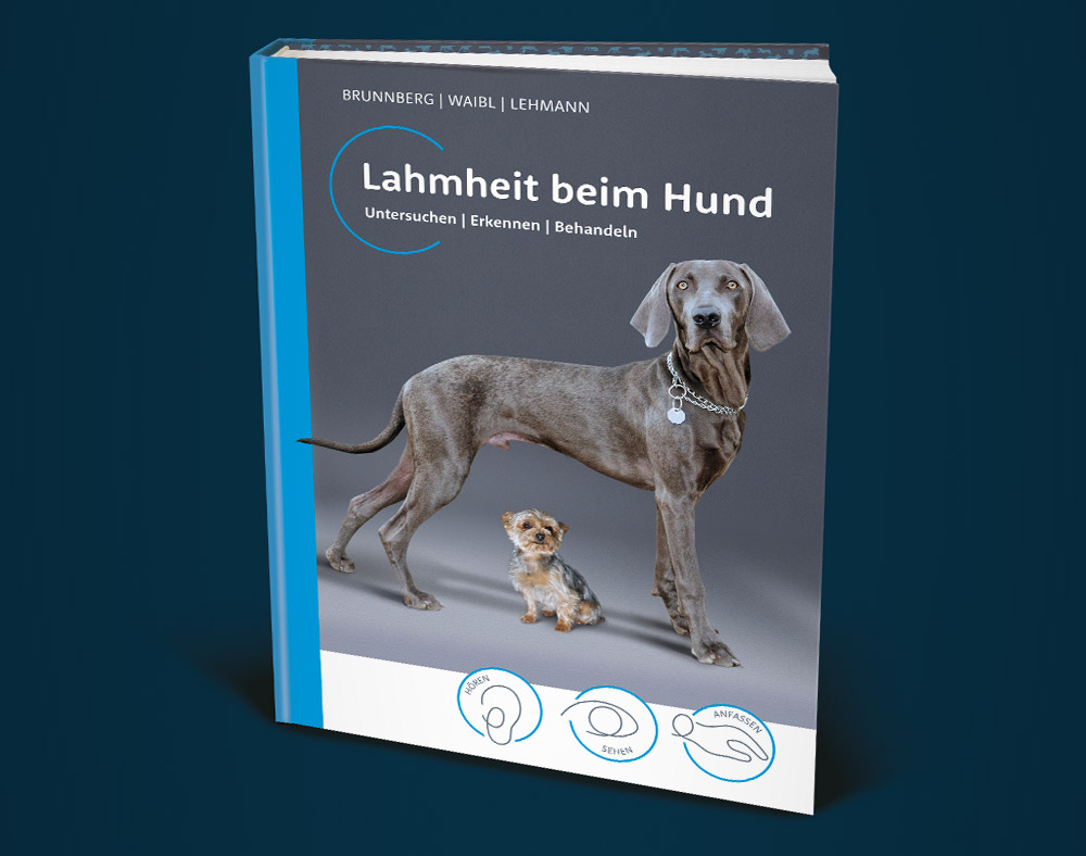Medizinischen Buch, Cover