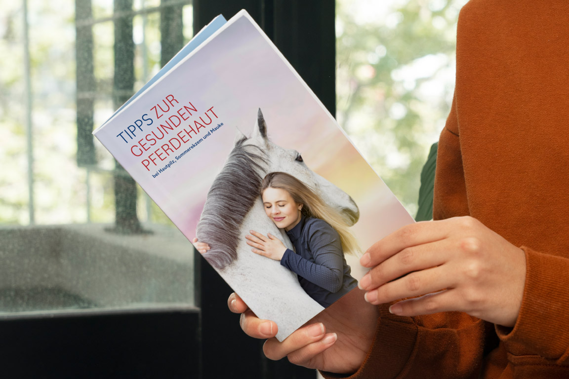 Person hält eine Informationsbroschüre in der Hand