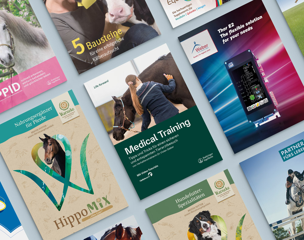 zahlreiche Produktbroschüren liegen auf grauem Hintergrund